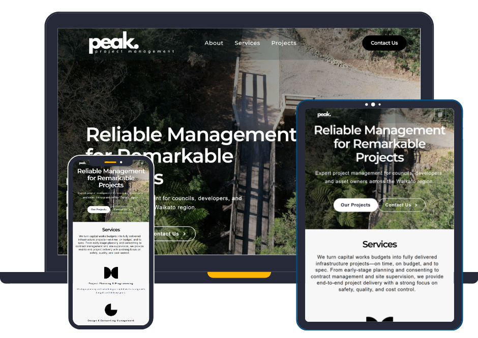 Peak PM Website Preview