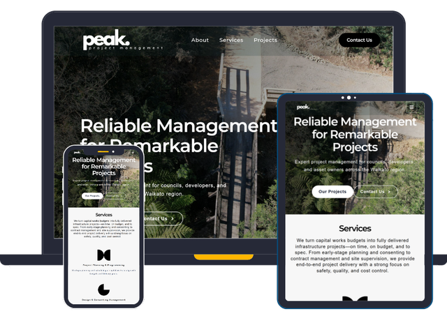 Website Design for Peak Project Management